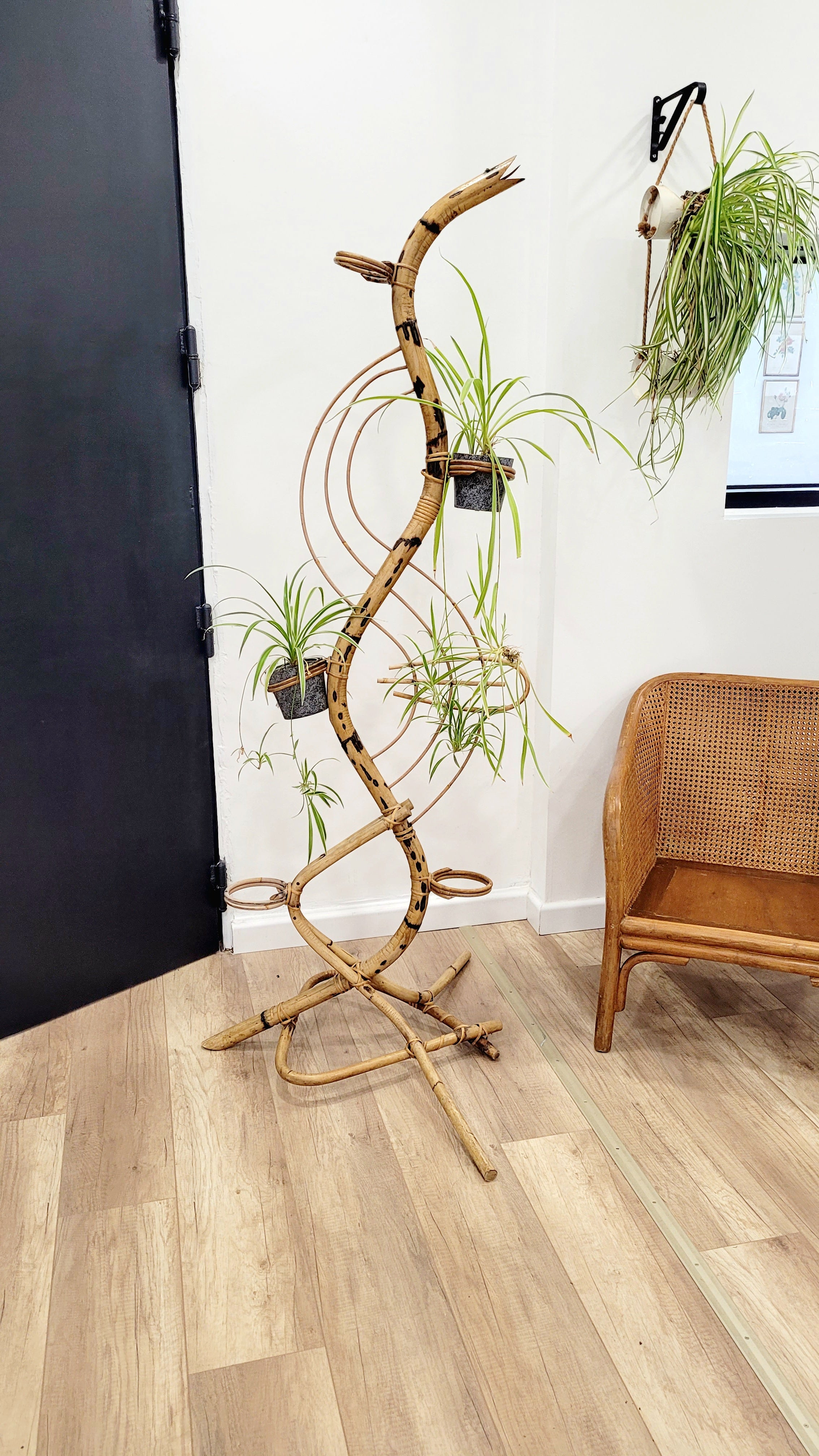 Porte-plantes serpent en rotin